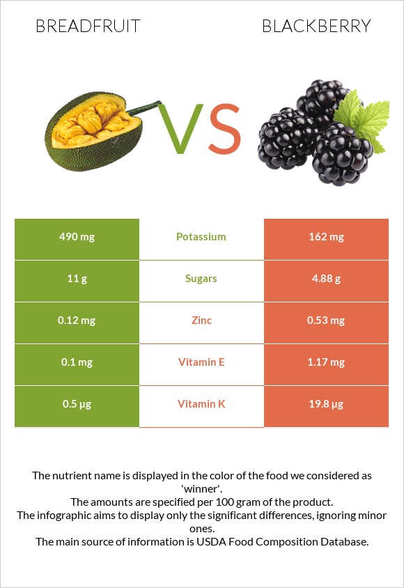 Breadfruit vs Blackberry infographic