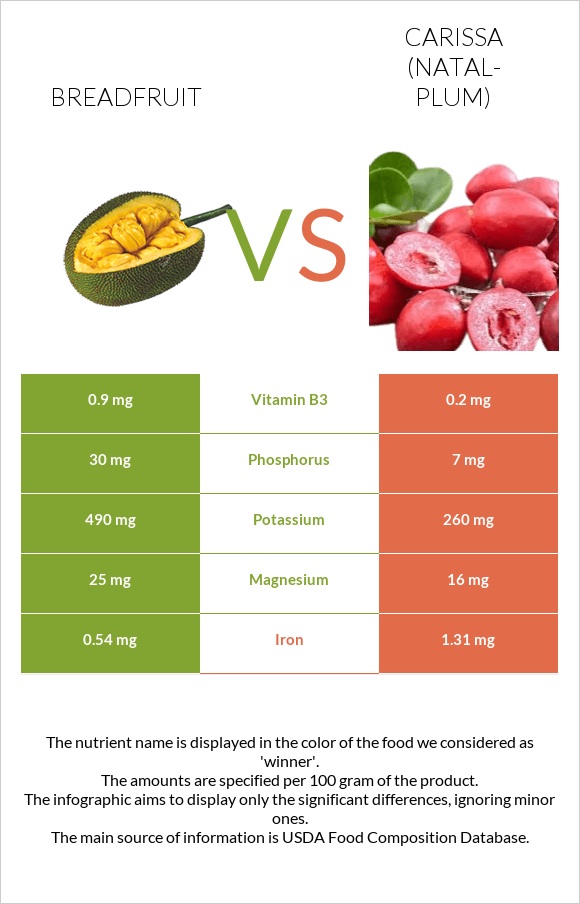 Breadfruit vs Carissa (natal-plum) infographic