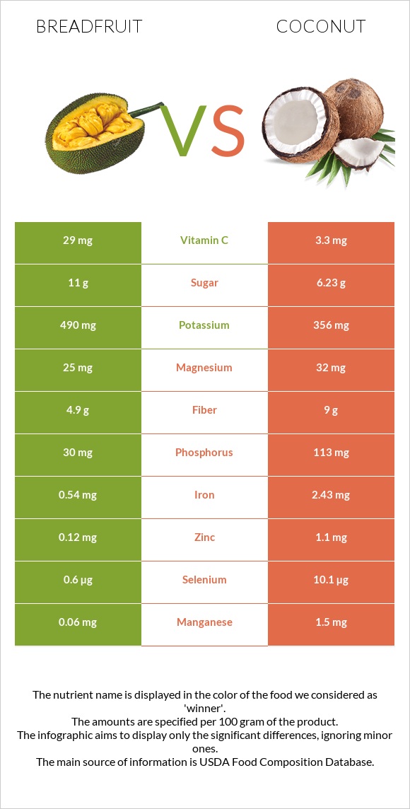 Հացի ծառ vs Կոկոս infographic