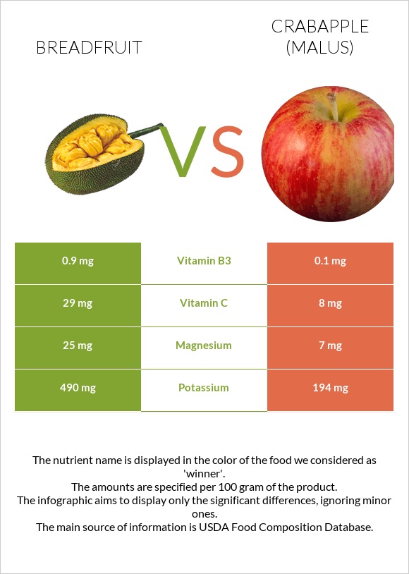 Breadfruit vs Crabapple (Malus) infographic
