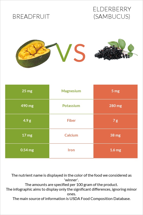 Հացի ծառ vs Elderberry infographic
