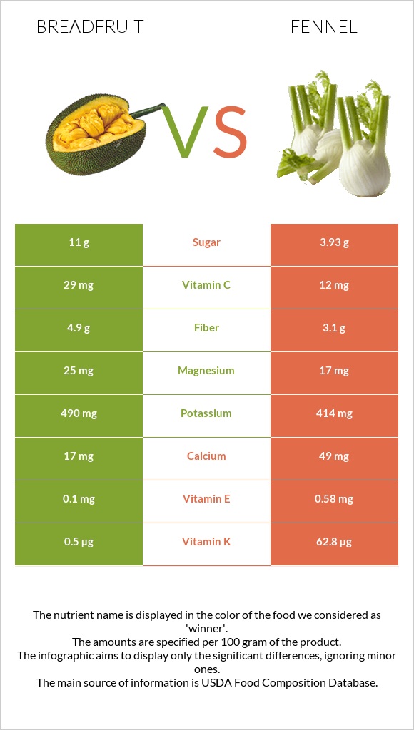 Breadfruit vs Fennel infographic