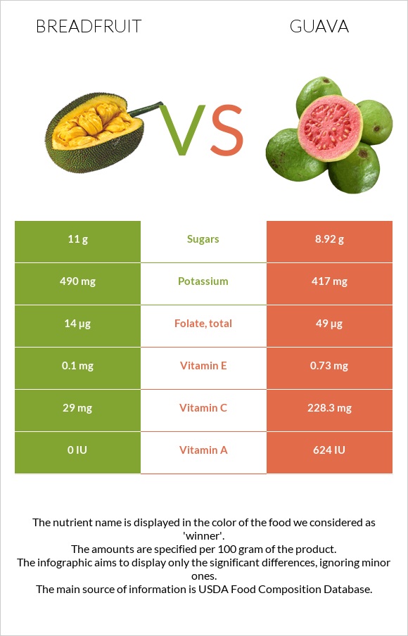 Breadfruit vs Guava infographic