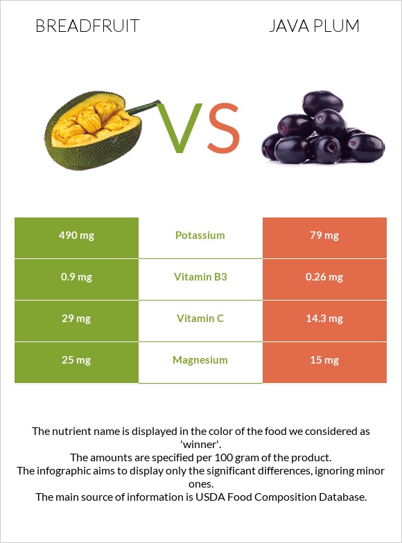 Breadfruit vs Java plum infographic