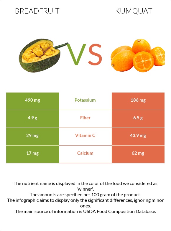 Breadfruit vs Kumquat infographic