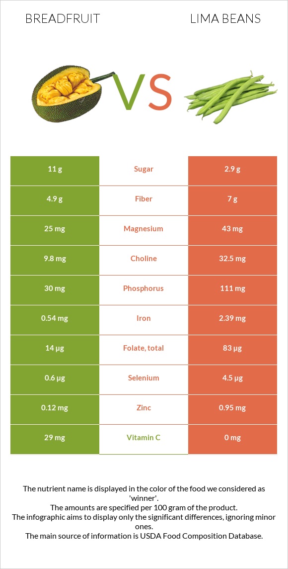 Հացի ծառ vs Lima bean infographic