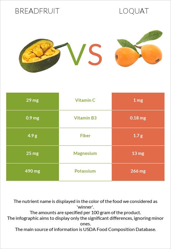 Breadfruit vs Loquat infographic