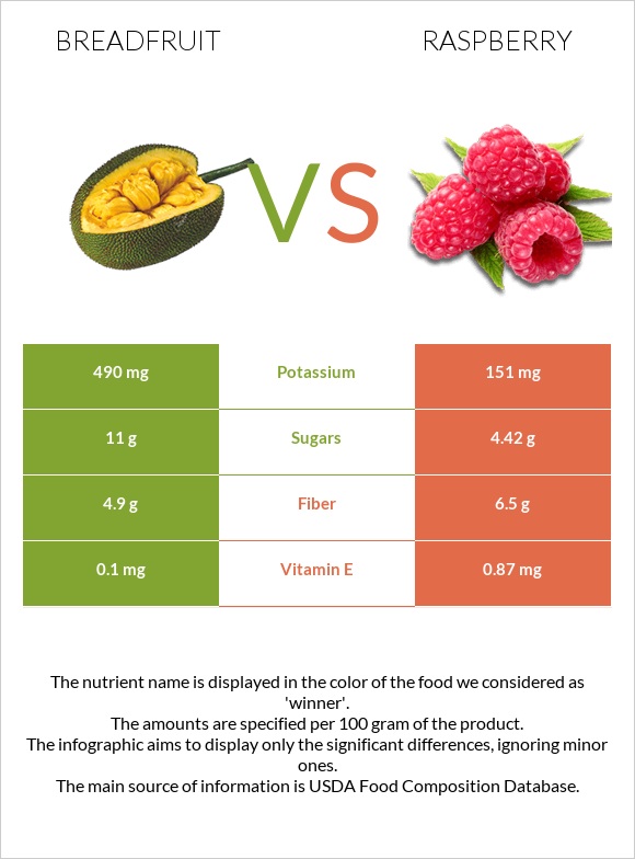 Հացի ծառ vs Ազնվամորի infographic