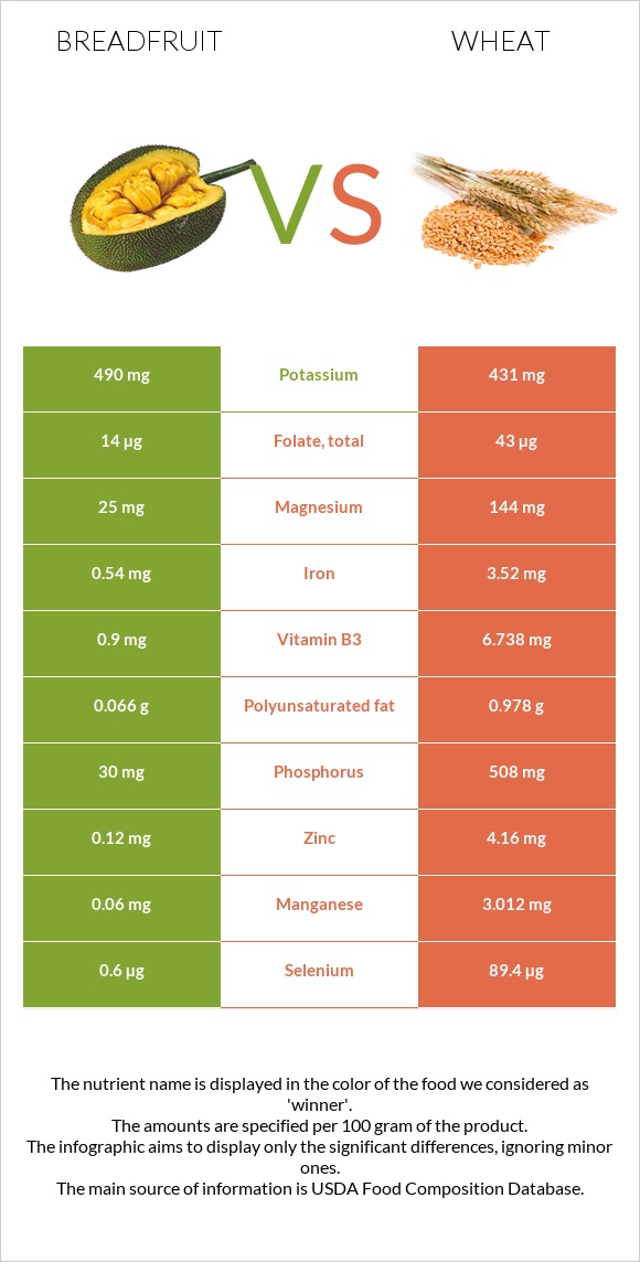 Breadfruit vs Wheat  infographic