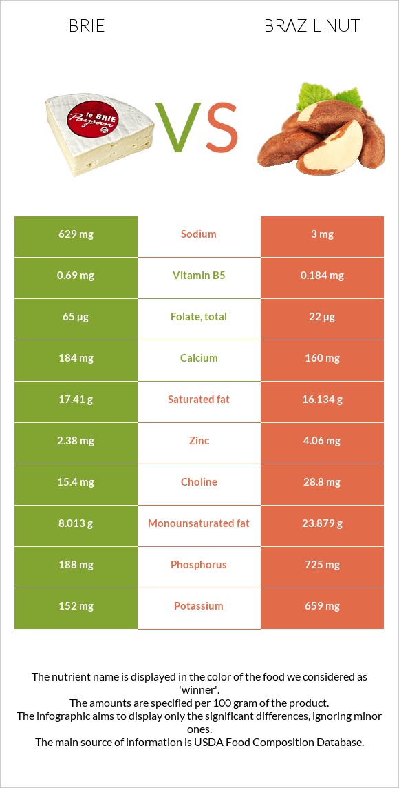 Brie vs Brazil nut infographic