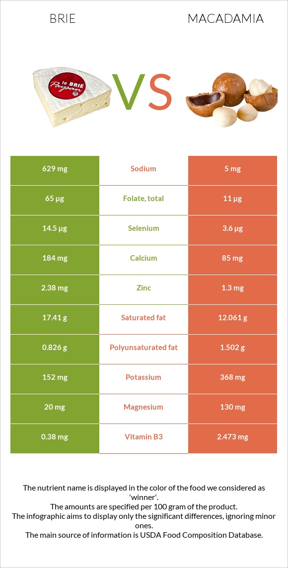 Պանիր բրի vs Մակադամիա infographic