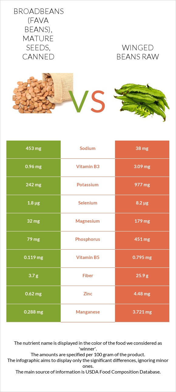 Broadbeans (fava beans), mature seeds, canned vs Winged beans raw infographic