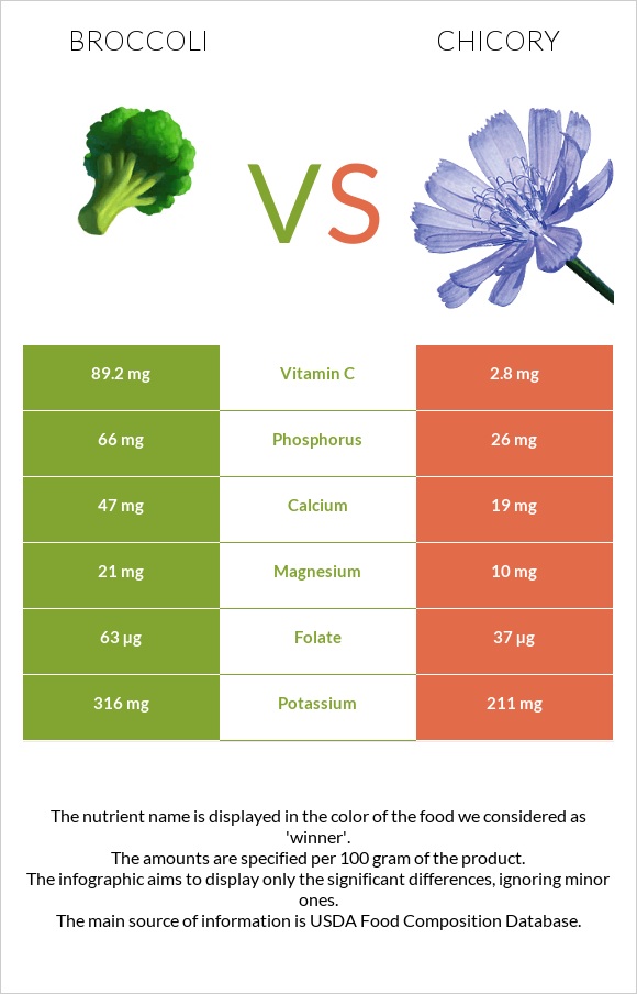 Broccoli vs Chicory infographic