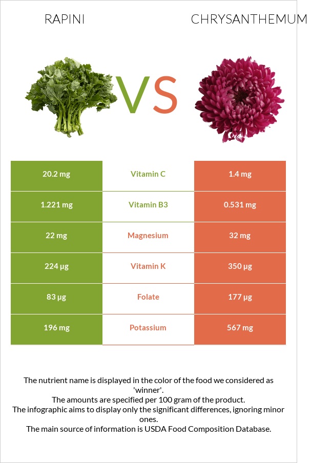 Rapini vs Chrysanthemum infographic