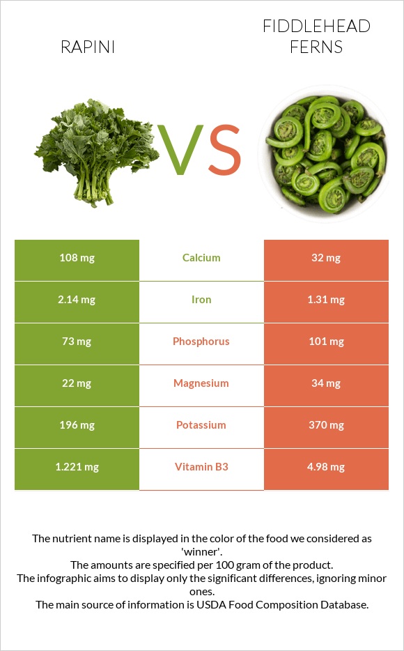 Rapini vs Fiddlehead ferns infographic