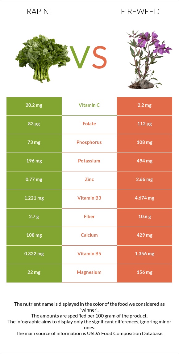 Rapini vs Fireweed infographic