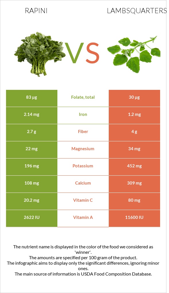 Rapini vs Lambsquarters infographic