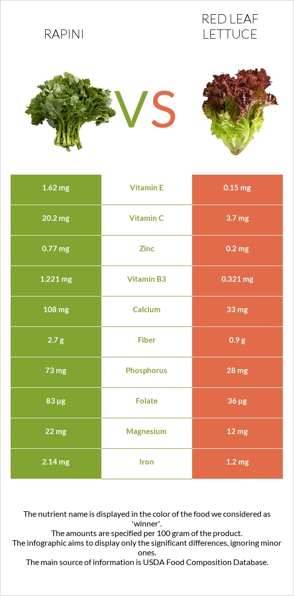 Rapini vs Red leaf lettuce infographic