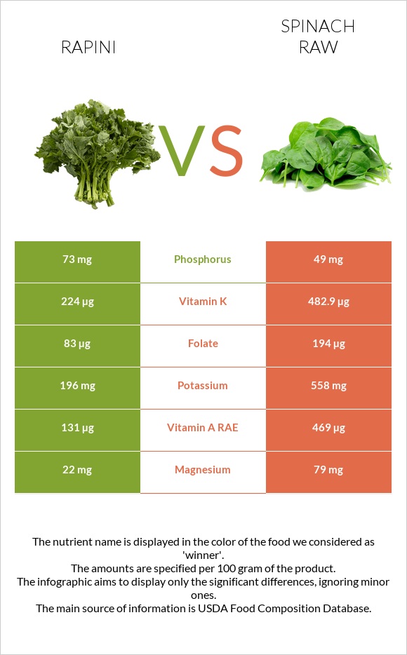 Rapini vs Spinach raw infographic