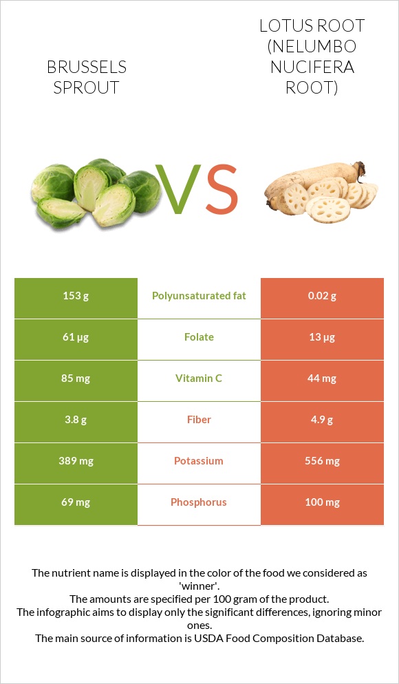 Brussels sprout vs Lotus root infographic