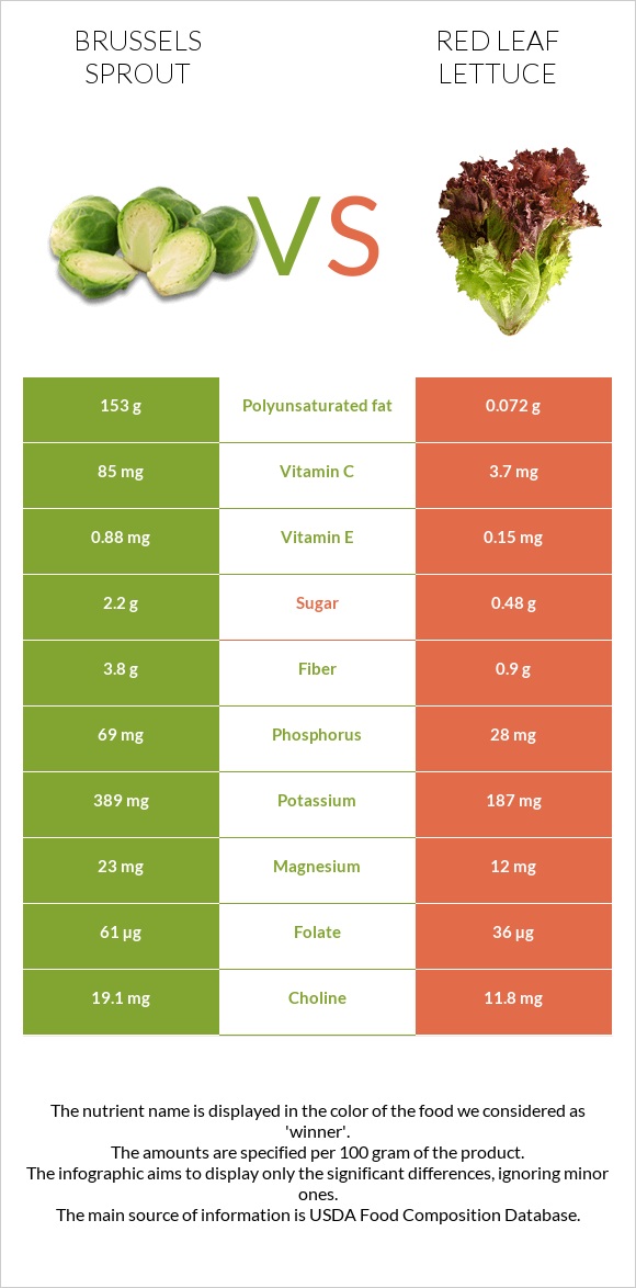 Բրյուսելյան կաղամբ vs Red leaf lettuce infographic