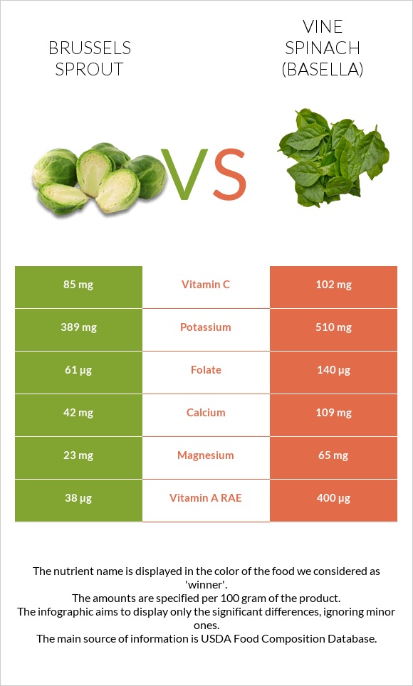 Բրյուսելյան կաղամբ vs Vine spinach (basella) infographic
