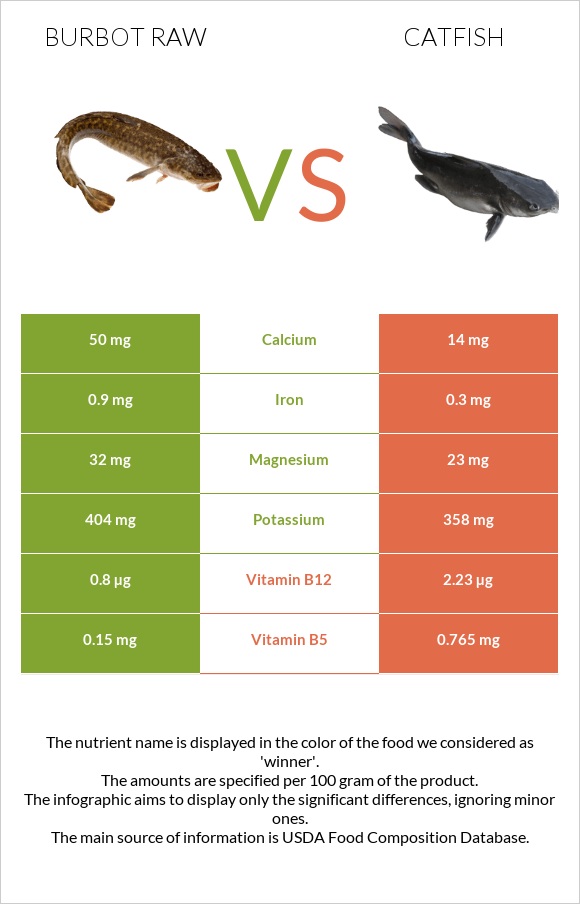 Burbot raw vs Catfish infographic