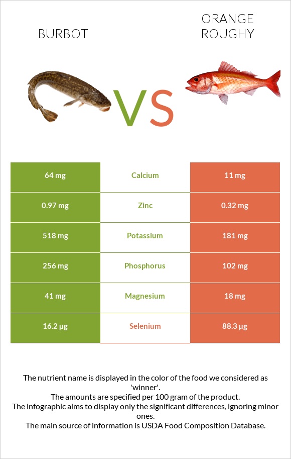 Burbot vs Orange roughy infographic