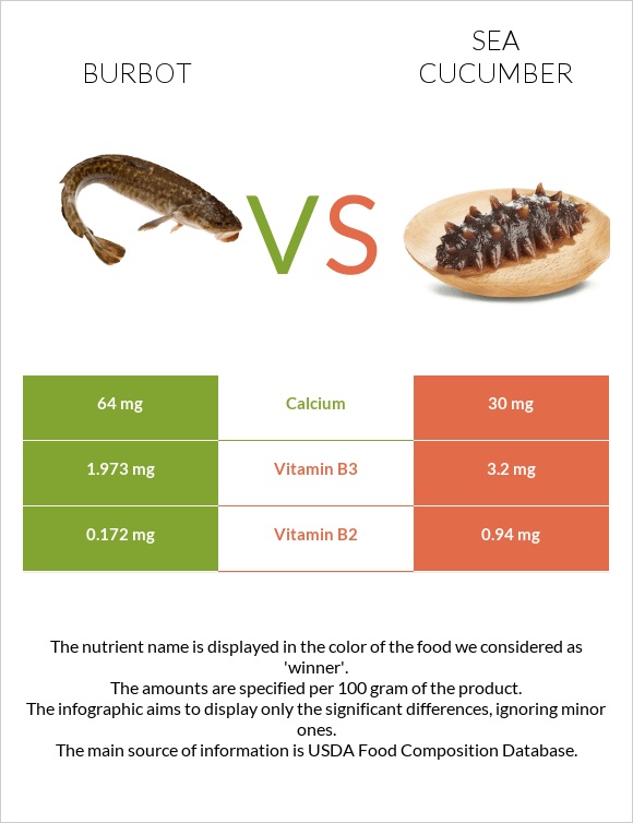 Burbot vs Sea cucumber infographic