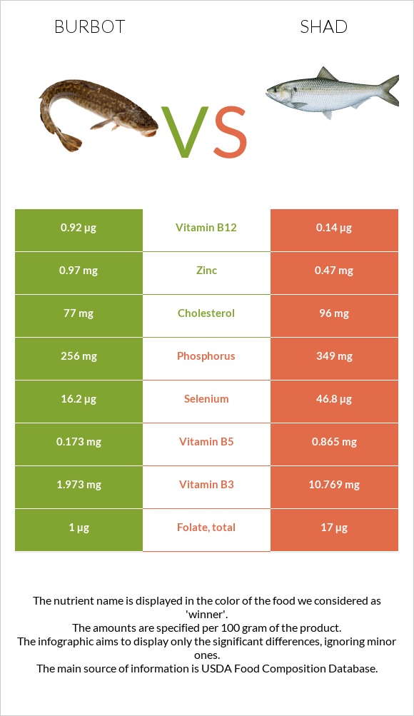 Burbot vs Shad infographic