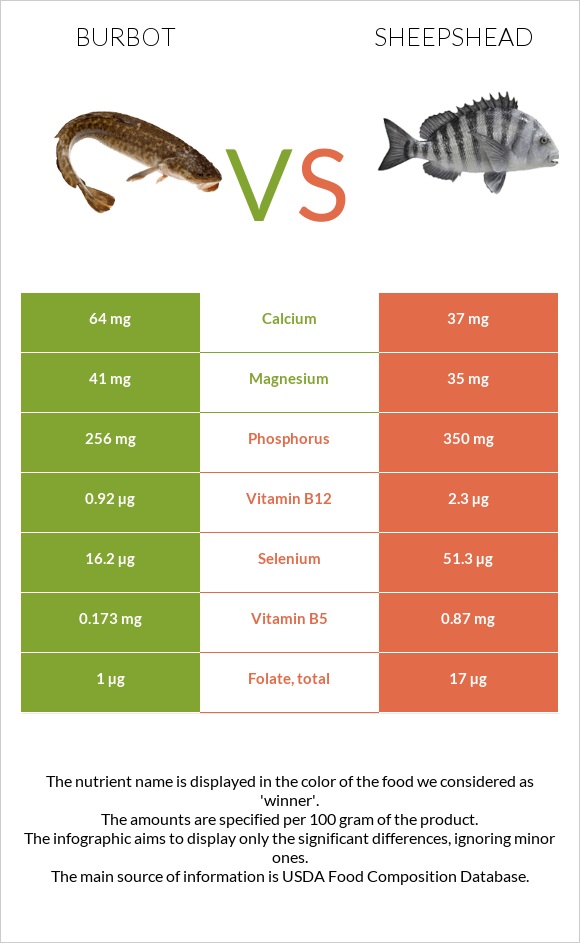 Burbot vs Sheepshead infographic