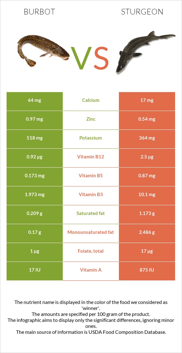 Burbot vs Sturgeon infographic