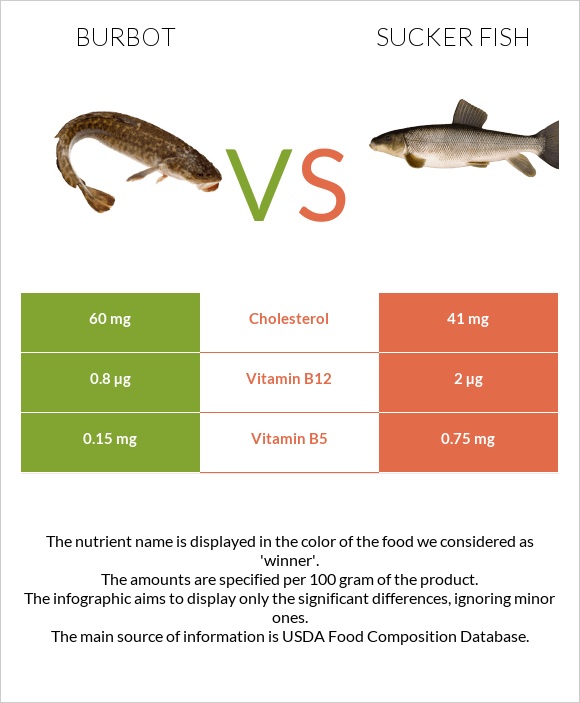 Burbot vs Sucker fish infographic