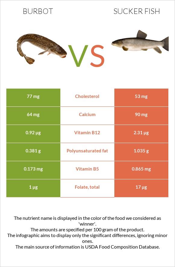 Burbot vs Sucker fish infographic