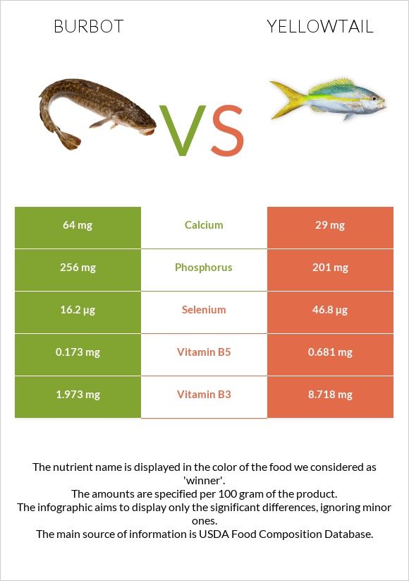 Burbot vs Yellowtail infographic