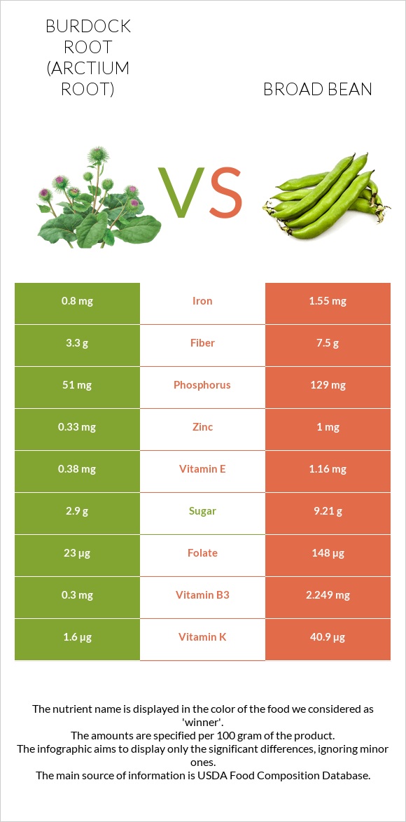 Burdock root vs Broad bean infographic