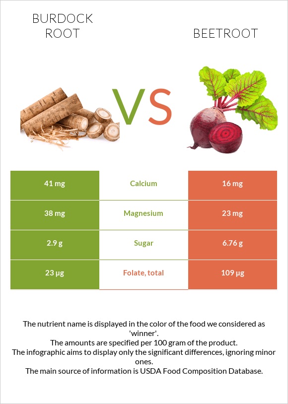 Կռատուկի արմատ (արկտի արմատ) vs Ճակնդեղ infographic