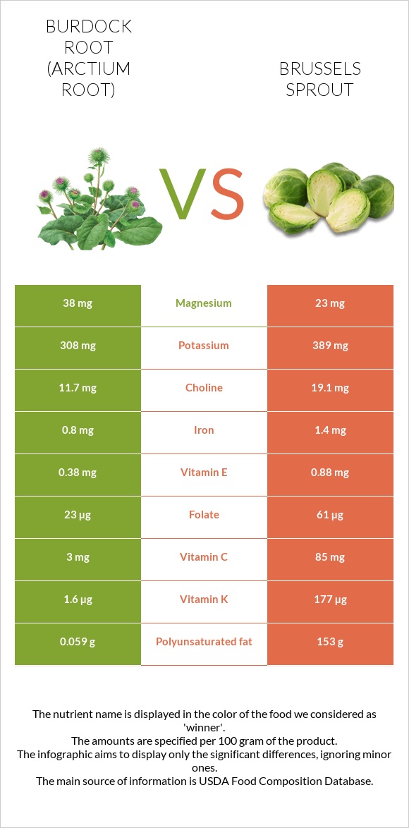 Burdock root vs Brussels sprout infographic