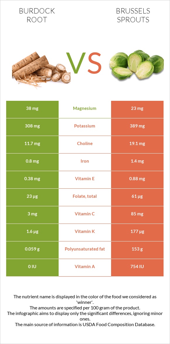 Burdock root vs Brussels sprout infographic