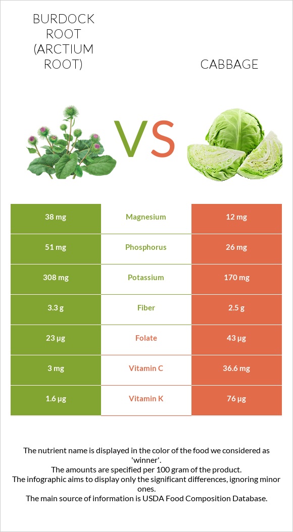 Burdock root vs Cabbage infographic
