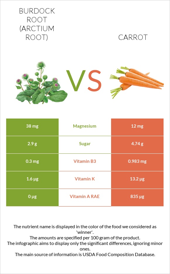 Burdock root vs Carrot infographic