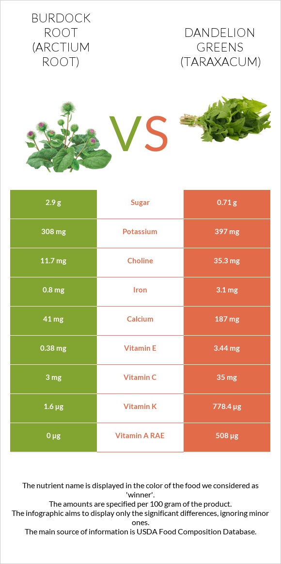 Burdock root vs Dandelion greens infographic