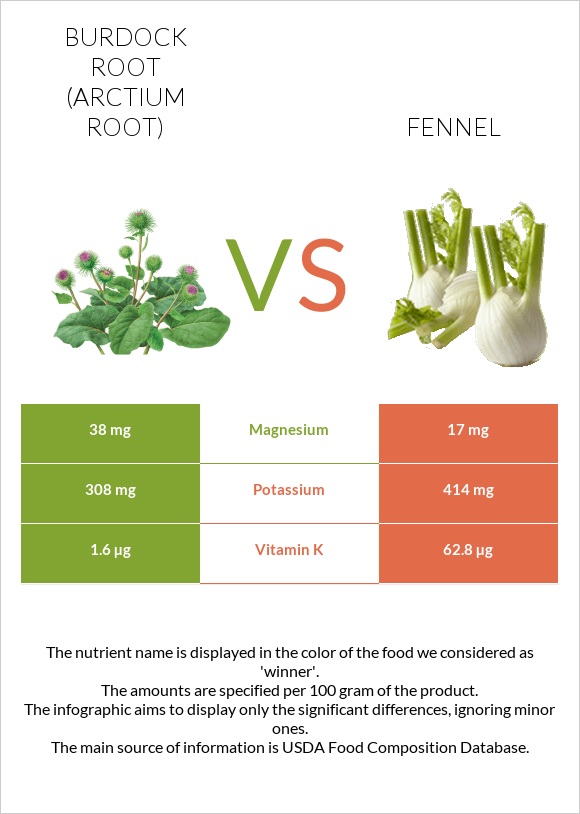 Burdock root vs Fennel infographic