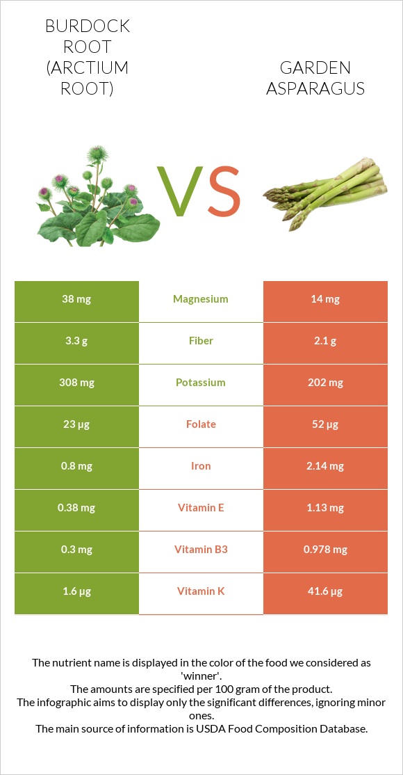 Burdock root vs Garden asparagus infographic