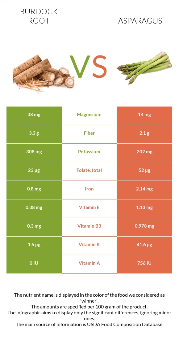 Կռատուկի արմատ (արկտի արմատ) vs Ծնեբեկ infographic