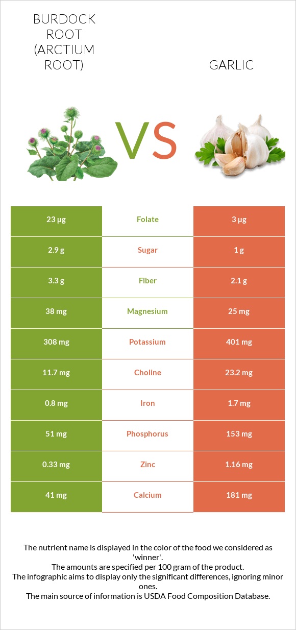 Burdock root vs Garlic infographic