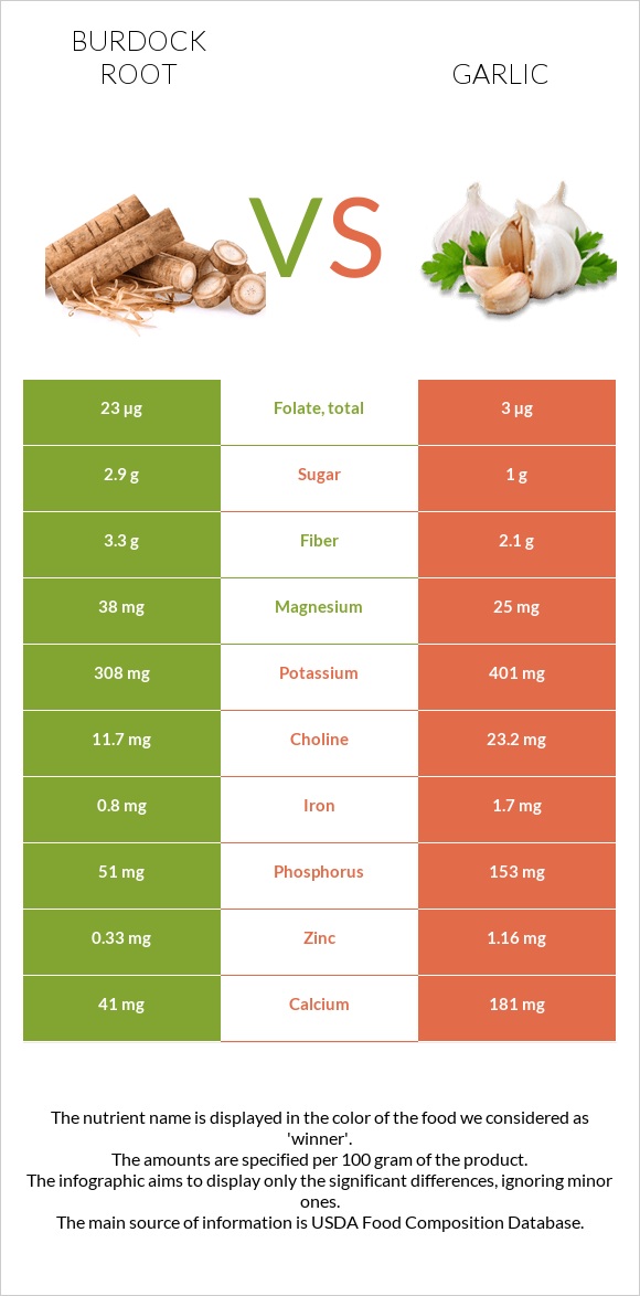 Կռատուկի արմատ (արկտի արմատ) vs Սխտոր infographic