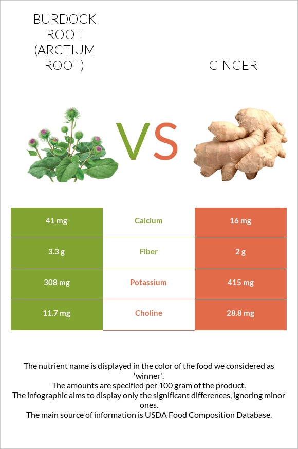Burdock root vs Ginger infographic