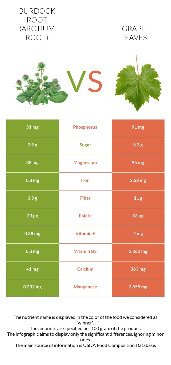 Burdock root vs Grape leaves infographic
