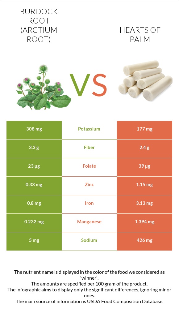 Burdock root vs Hearts of palm infographic
